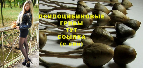прущие крисы Абаза