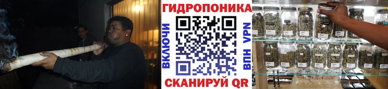Бошки марихуана THC 21% Трубчевск